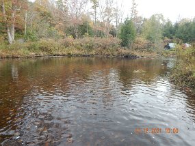 $Bald Eagle Spring10-17-2021004$ Another Black Mo favorite. This is where I met Mike years ago. We've been fishing together ever since.