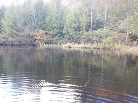 $Bald Eagle Spring10-17-2021009$ This is one of the larger holes on the Black Mo. New Scandi line let me cast to the far side of the stream with no backcast!