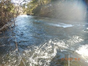 $Bald Eagle Spring10-17-2021012$ This was Spring Creek in the early morning. Looked like there should be fish here!