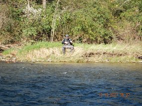 $Bald Eagle Spring10-17-2021015$ This was a common sight...taking a break. Fish weren't cooperating. Maybe it was due to the 