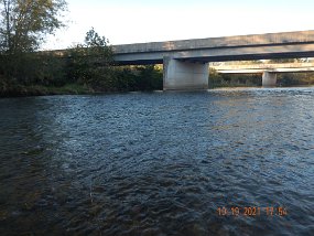 $Bald Eagle Spring10-17-2021019$ That little brown was in this section of the stream.