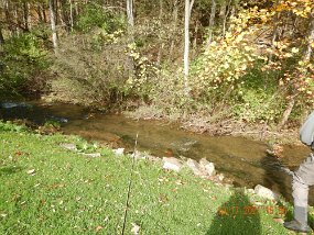 $Bald Eagle Spring10-17-2021026$ Started on Lick Run. Just a little stream but it is said to hold wild browns.