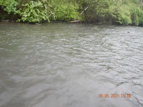 4-2021007$ The last fish was in this area. The drops on the water are the only indication of the rain but it was pouring.