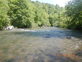 $BaldEagleSpring5-31 thru 6-3-2021027$ Spring Creek. Previous nights rain raised the water levels and colored the water.