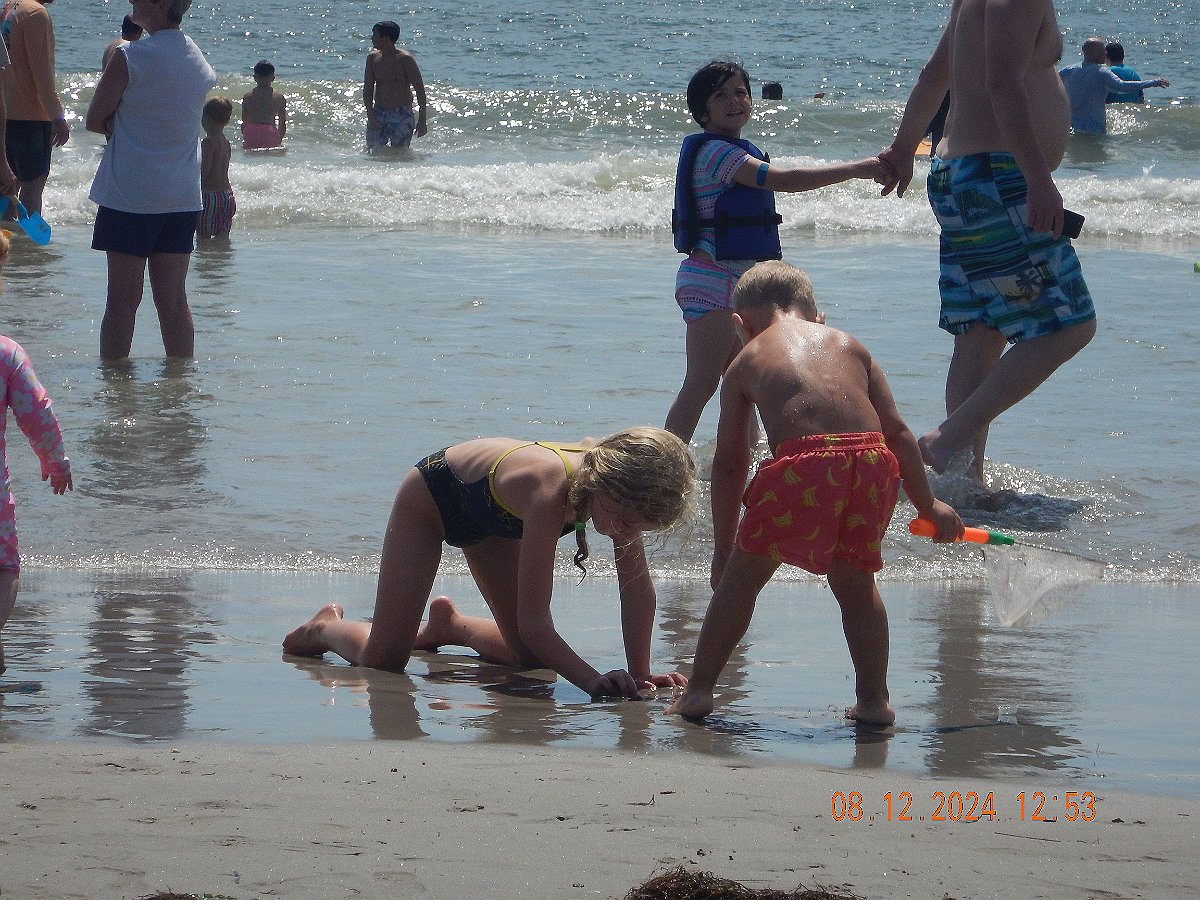 Beach2433
