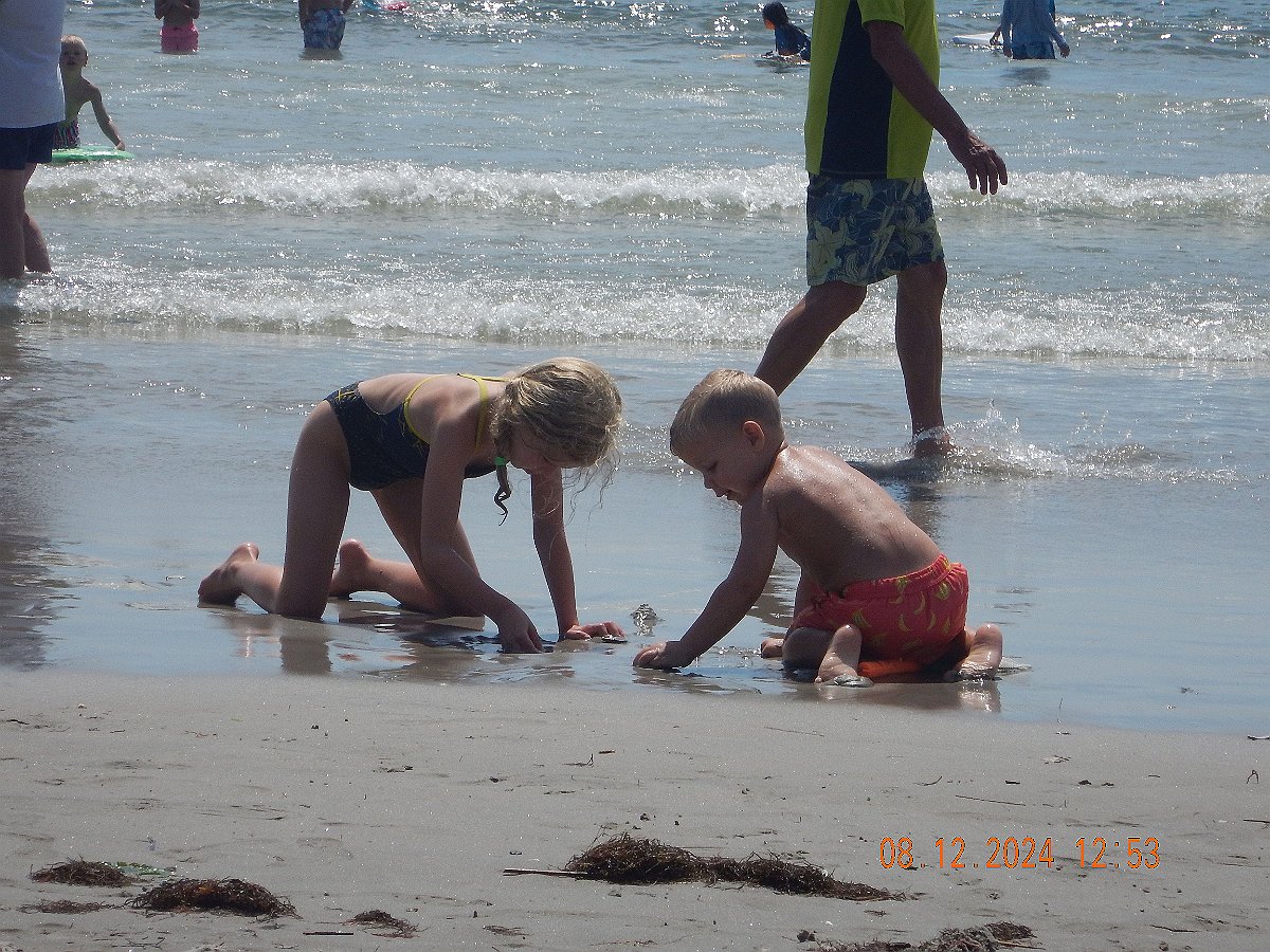 Beach2434