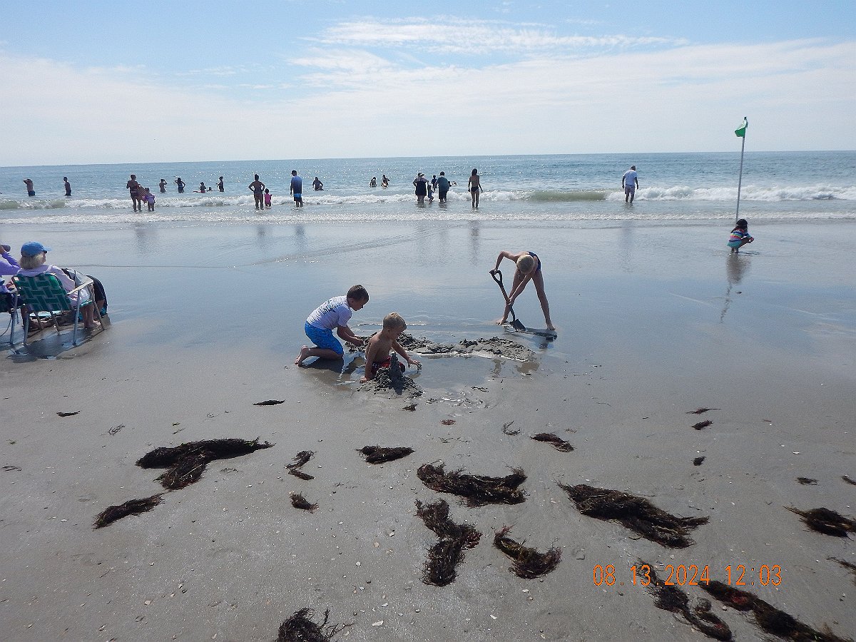 Beach2441
