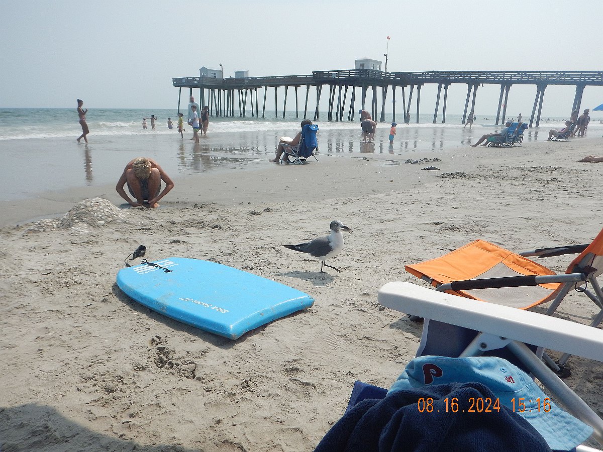 Beach2475