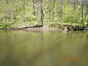 $YellowBreeches4-26-2021001$ Pretty much Yellow Breeches color. Maybe a bit murkey but the bottom was visible in most locatons.