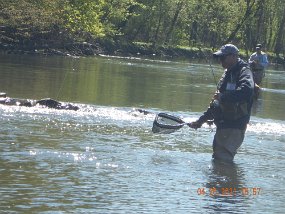 $YellowBreeches4-26-2021010$ But, concentration won this battle. Gary gets the fish.