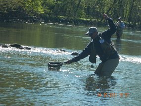 $YellowBreeches4-26-2021011$ Here he is landing that trout. Today neither of us got skunked...it was a good day!