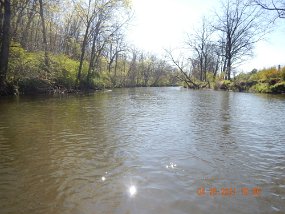 $YellowBreeches4-26-2021014$ This is pretty much what we were up against at this location. Without rising fish were were pretty much practicing casting.