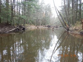 $ClarkCreek 11-2-2021010$ Only reason I come back to this stream is that it's close to home. Other anglers walked the stream and said this was the only location that had any fish. Maybe...