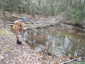 $ClarkCreek 11-2-2021012$ You can see the silt on the bottom of the stream...this was, at one time, a rocky bottom.