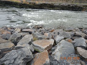 $HickoryRun10-03-2021014$ This is the terrain I had to cross just to get to the water where I caught 0 fish. Maybe when the fish get accustomed to the increased flows they will start to...