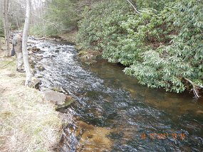 $HickoryRun4-18-2021018$ Ed was with me on this trip. There he is at the same run. I got one more in this run. That fish is on the next pic.