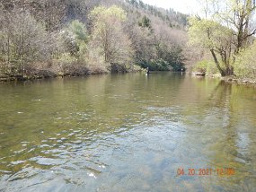 $HickoryRun4-18-2021021$ Only problem with this spot is that it is popular. Good number of fish, and fishermen. Saw a couple guys keeping everything they caught on spinning gear.