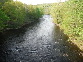 19-2021025$ It is a beautiful river and cold water releases from Francis E. Walter Dam seem to help the trout a good bit.