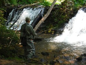 19-2021046$ SawMill is a really nice stream with a healthy population of streambred browns. Although pretty, these falls did not produce fish.