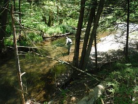 19-2021047$ The following morning (Monday) we stopped to check the tailwater at Beltzville. No fish raising and Ed wasn't too comfortable with the bigger water so we went...