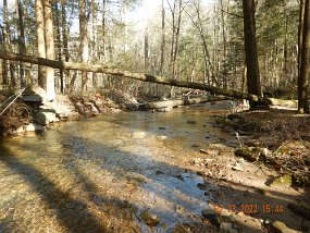 $LaurelRun 2-23-2022001$ But alas, no brookies. Not a one. Not a bite. Not a bump. Tried everything but I guess when the fish aren't cooperating there's nothing to do but enjoy the...