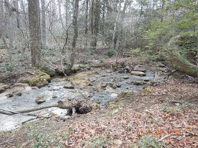 $NineO'ClockRun-1-19-2021011$ There's got to be fish here. If not at this spot, maybe a little farther down the mountain. I'll be back when I figure a way to have more time to fish and less...