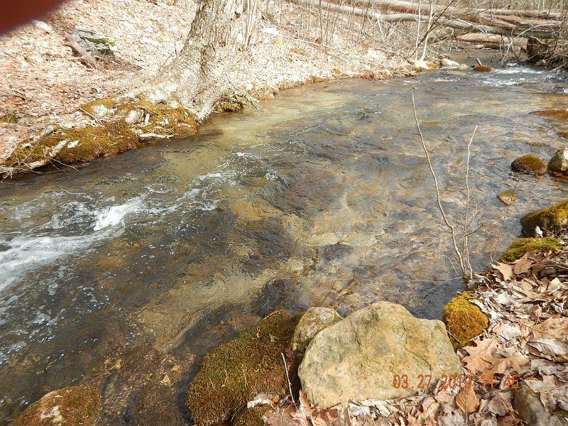 $Patterson2002$.jpg - The stream had nice water...still cold...but the fish weren't as cooperative.