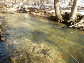 $Sheaffer-3-3-2021005$ I did get a couple of brookies. They hit, I set the hook and they wiggled so hard they threw the hook before I could get them to the net.