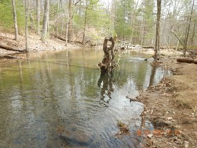 $Spectacle 4-7-2021004$ In this pool, on the right side of the stump, there were stockers stacked up so tight it looked like a hatchery. Check out the bank! And, this is supposed to be...