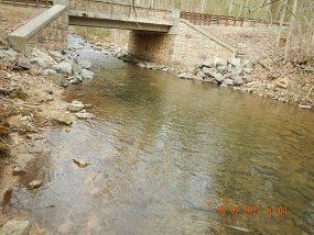 $Spectacle 4-7-2021017$ This stream was rather unremarkable. Guess I had unreasonable expectations. I was looking for a mountain brookie stream. This is a stocked location.