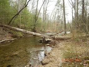 $Spectacle 4-7-2021018$ It was nice enough and yes, it did have streambred brookies but I guess the trampled banks, power bait and salmon eggs on the bank and stocked fish took away...