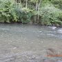 SpringB202608