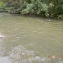 DSCN7016