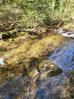 $StoneCabin 2-21-2022004$ Got several hits from this pool. The water was gin clear but the fish didn't seem to be overly spooky.