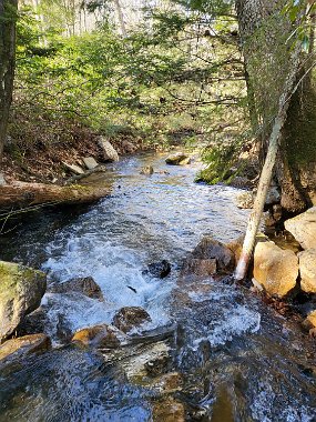 $StoneCabin 2-21-2022005$ Can't wait for Spring. It'll be a hoot to throw a dry if these water levels hold up.