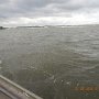 susquehannaC202605