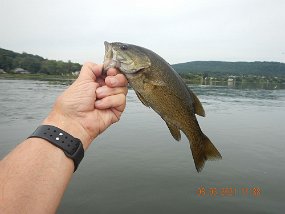 $Susquehanna8-3-2021007$ First time I had the boat in the water in almost 2 years and the motor started with three pulls...not bad.