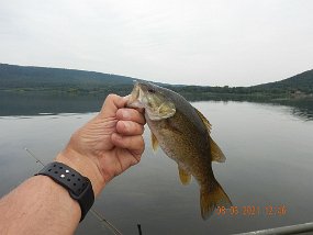 $Susquehanna8-3-2021010$ One fellow I spoke with at the dock said he got one bite and lost another he had on. Second guy said he got nothing. Fish are there as long as you're willing to...