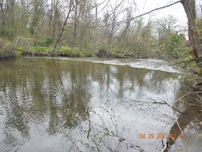 $YellowBreeches4-29-2021001$ I had a second fish on just up from the riffle buy, alas, he threw the hook.